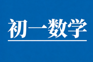 2025李爽初一数学秋季A+课程