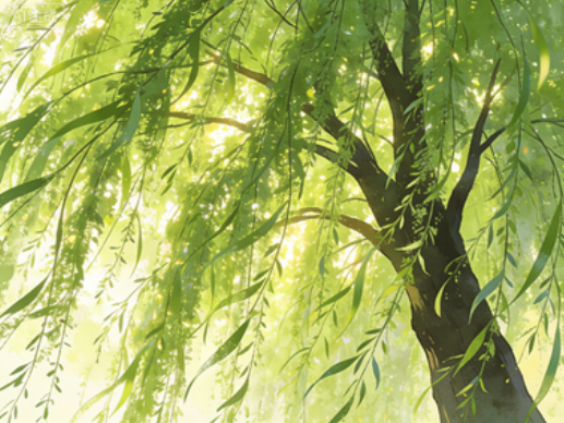 碧玉妆成一树高，万条垂下绿丝绦