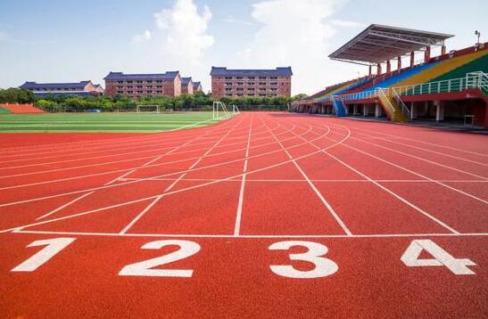 新乡市2024年中招体育考试项目