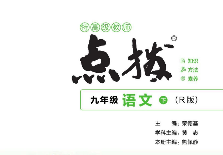 九年级点拨语文封面