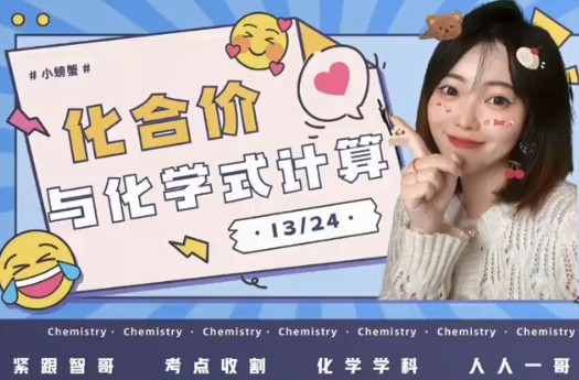 2024杨雯智初三化学秋季班下教学视频