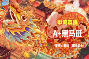 2024林淼初三中考英语S寒假班课程网盘分享