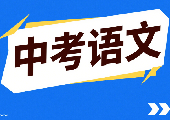 2024林传泽老师中考语文冲刺课网盘分享
