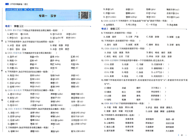2025一本小升初冲刺新卷语文内容