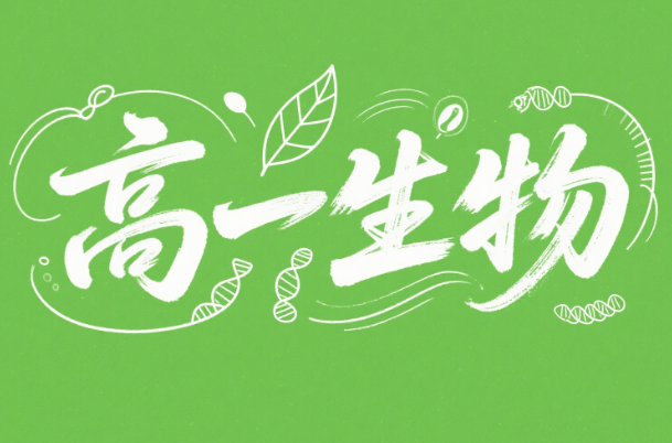 2025周云高一生物暑假课程网盘分享