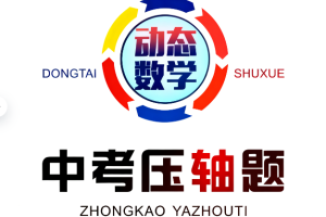 动态数学中考压轴题PDF下载
