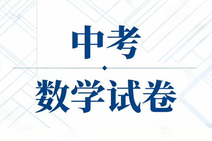 2025各省高清中考数学试卷含答案解析电子版